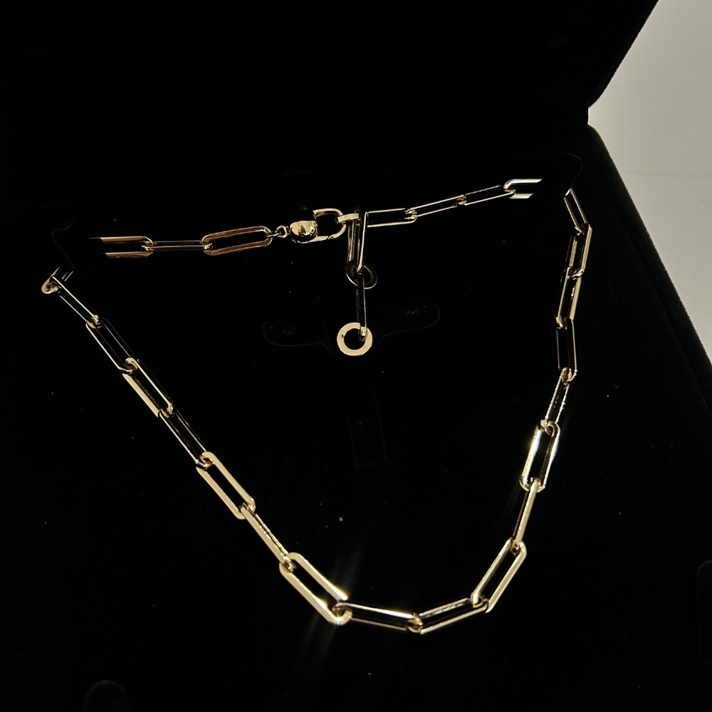 Jenny Bird Gold Link Necklace